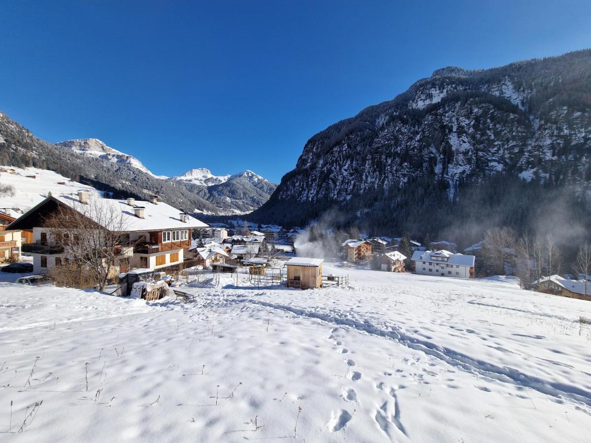 Cesa Cherpei - Dog Friendly Campitello di Fassa Εξωτερικό φωτογραφία