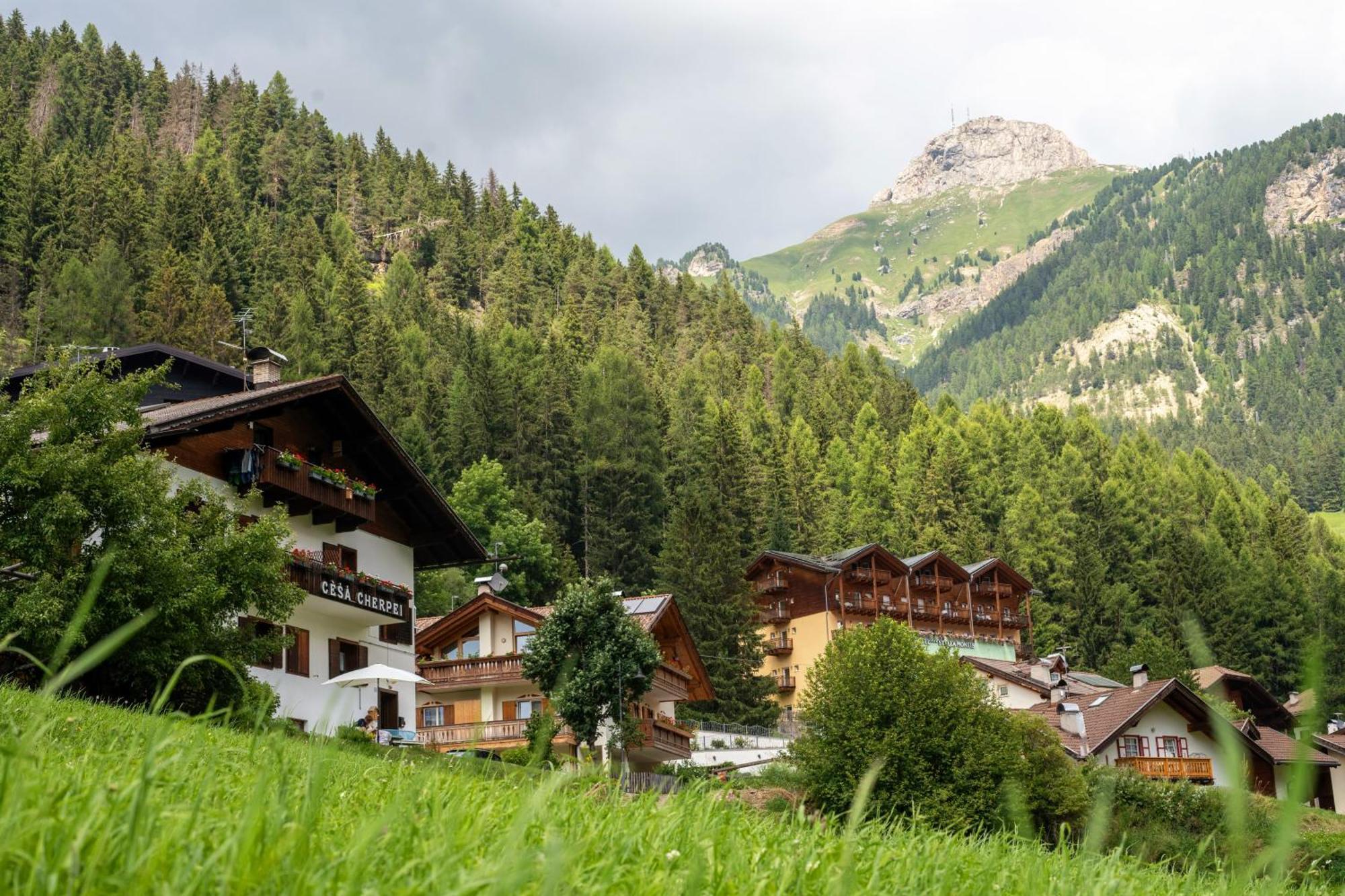 Cesa Cherpei - Dog Friendly Campitello di Fassa Εξωτερικό φωτογραφία